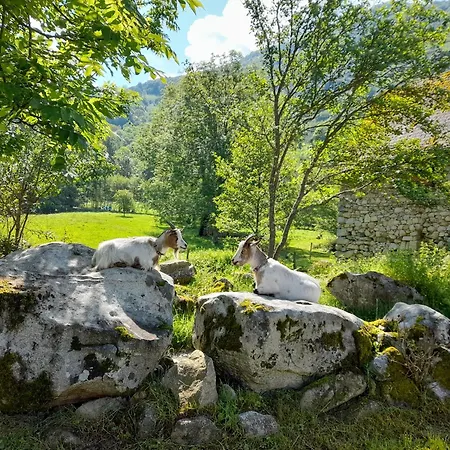 En Pleine Nature Acces 4x4 Ou A Pied