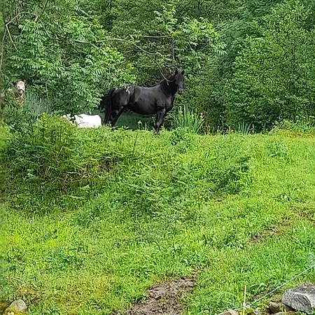 En Pleine Nature Acces 4x4 Ou A Pied Vakantiehuis *