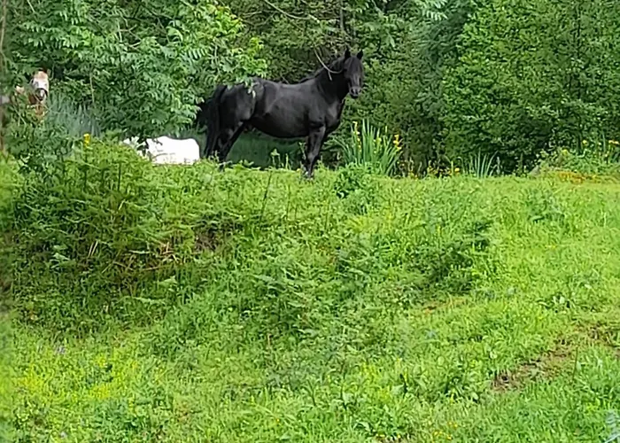 En Pleine Nature Acces 4x4 Ou A Pied Prázdninový dům *