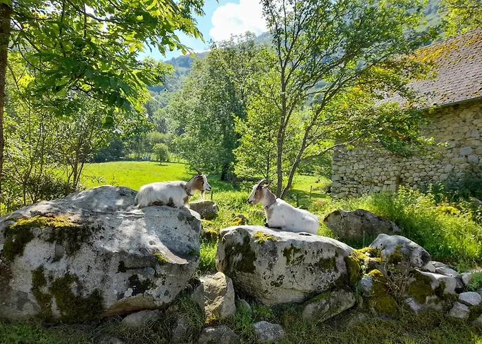 En Pleine Nature Acces 4x4 Ou A Pied